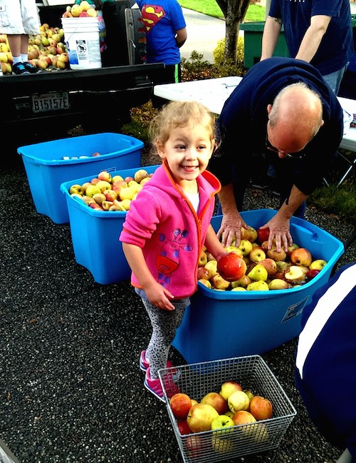 Ava having fun washing apples at the cider party