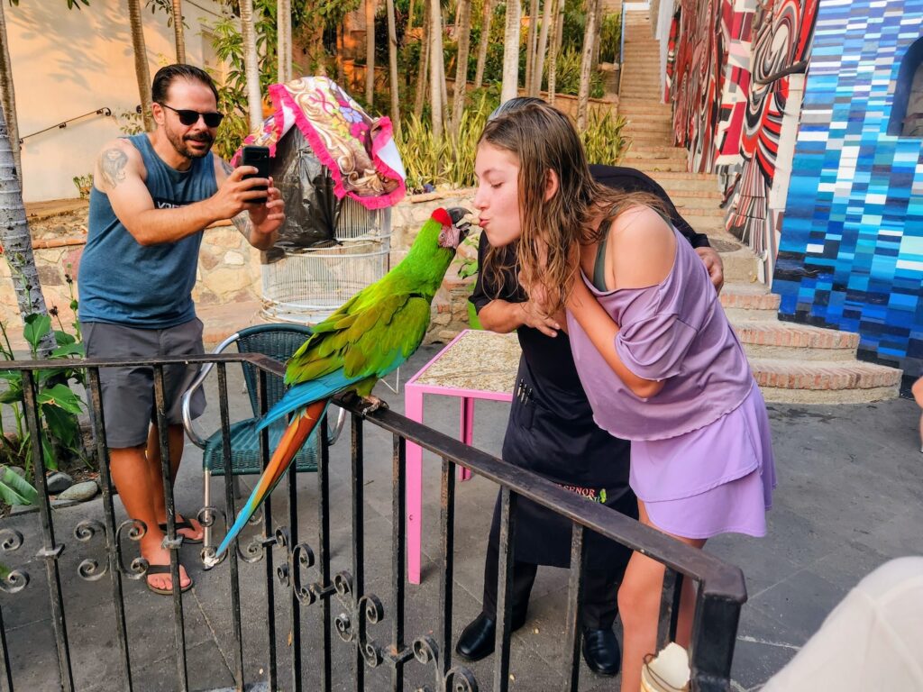 Ava Pellegrini feeding Lola (the Green Macaw) outside of Si Senor Garden in Puerto Vallarta